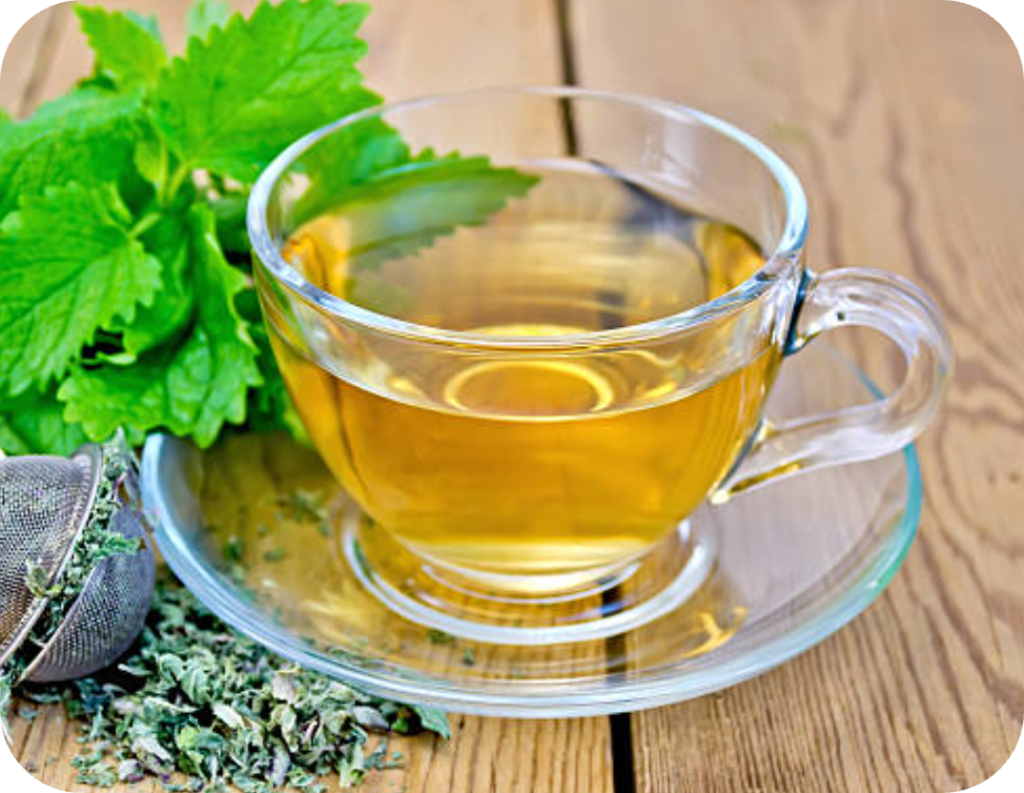 Lemon Balm Tea 