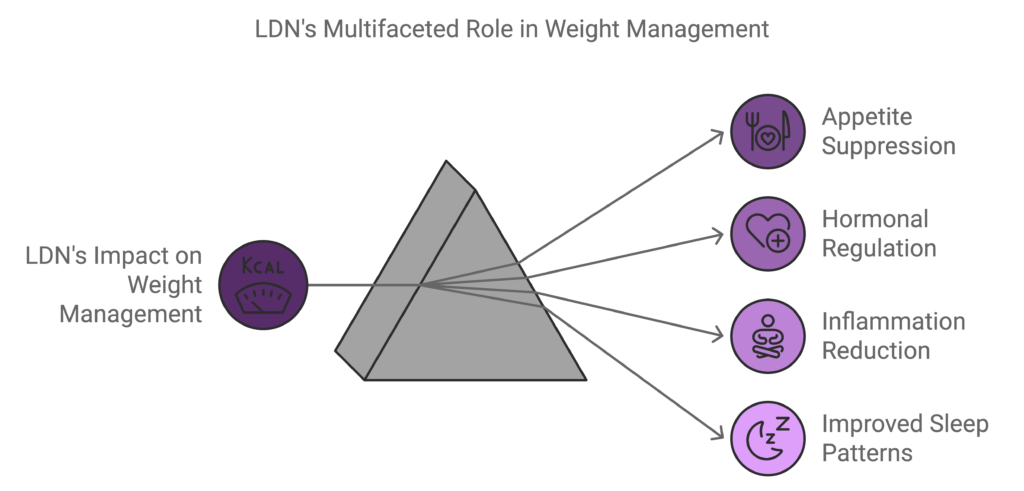 LDN's Multifaceted Role in Weight Management, 